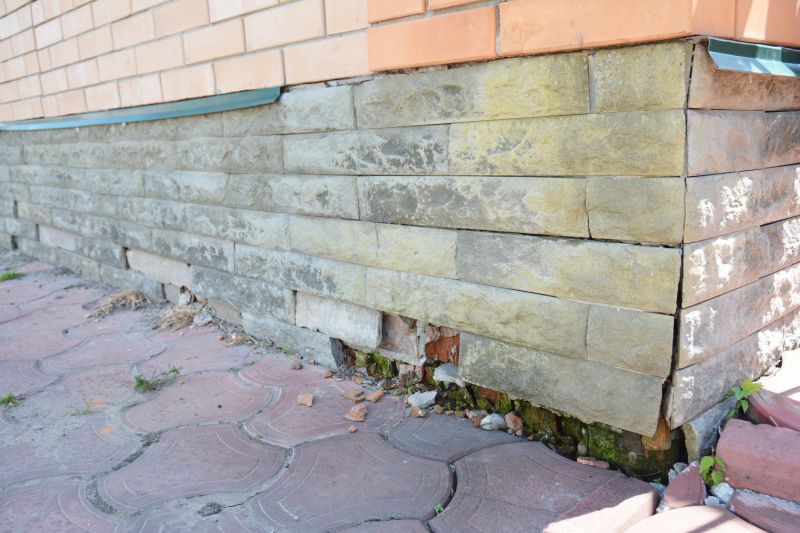 Foundation Damage Repair in Nederland, CO